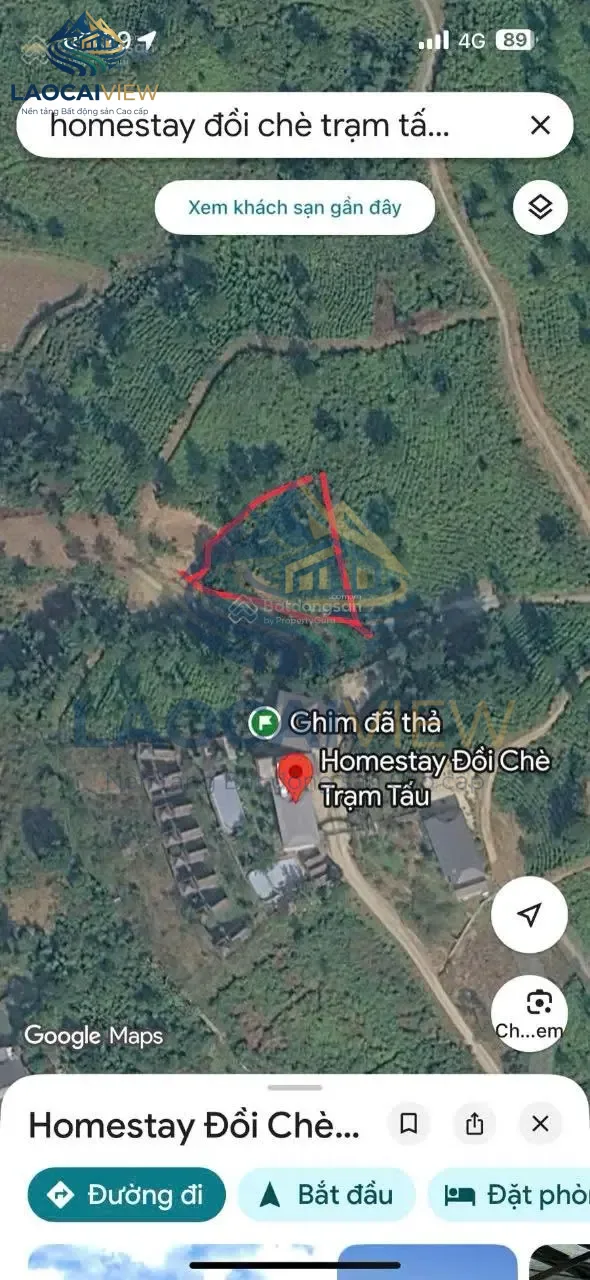 Bán trang trại 1.100 m², giá 1,6 triệu/m², ngõ vào 5m, pháp lý sổ đỏ, tại Xã Hạnh Phúc, Lào Cai