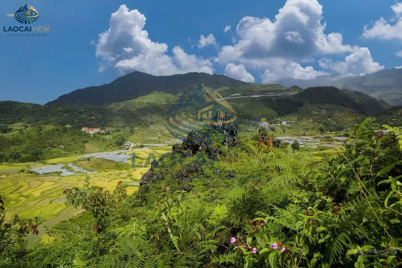 Bán đất thương mại 4,07ha tại Tả Phìn, Sa Pa – Sổ đỏ 250 tỷ, view 360°, vị trí du lịch trọng điểm