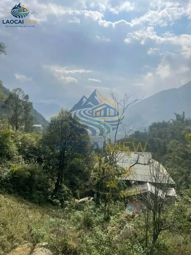 Ảnh 3