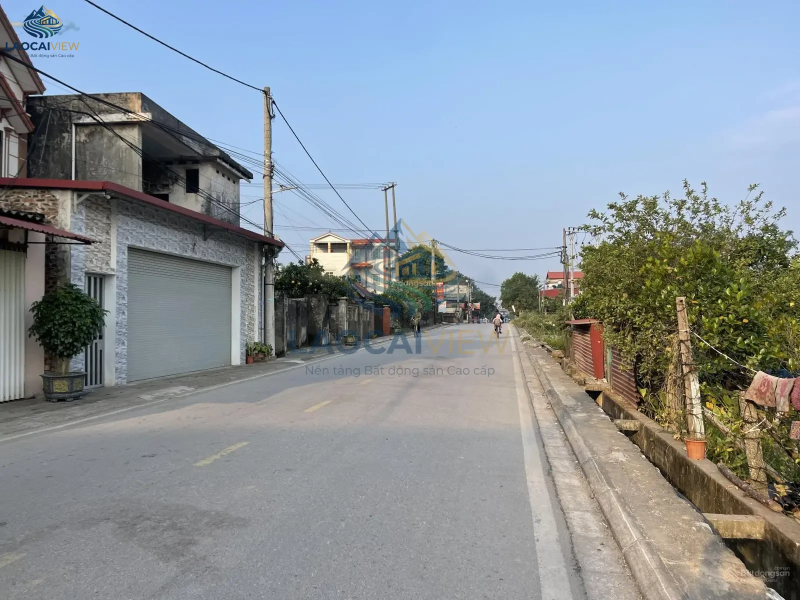 Ảnh 2