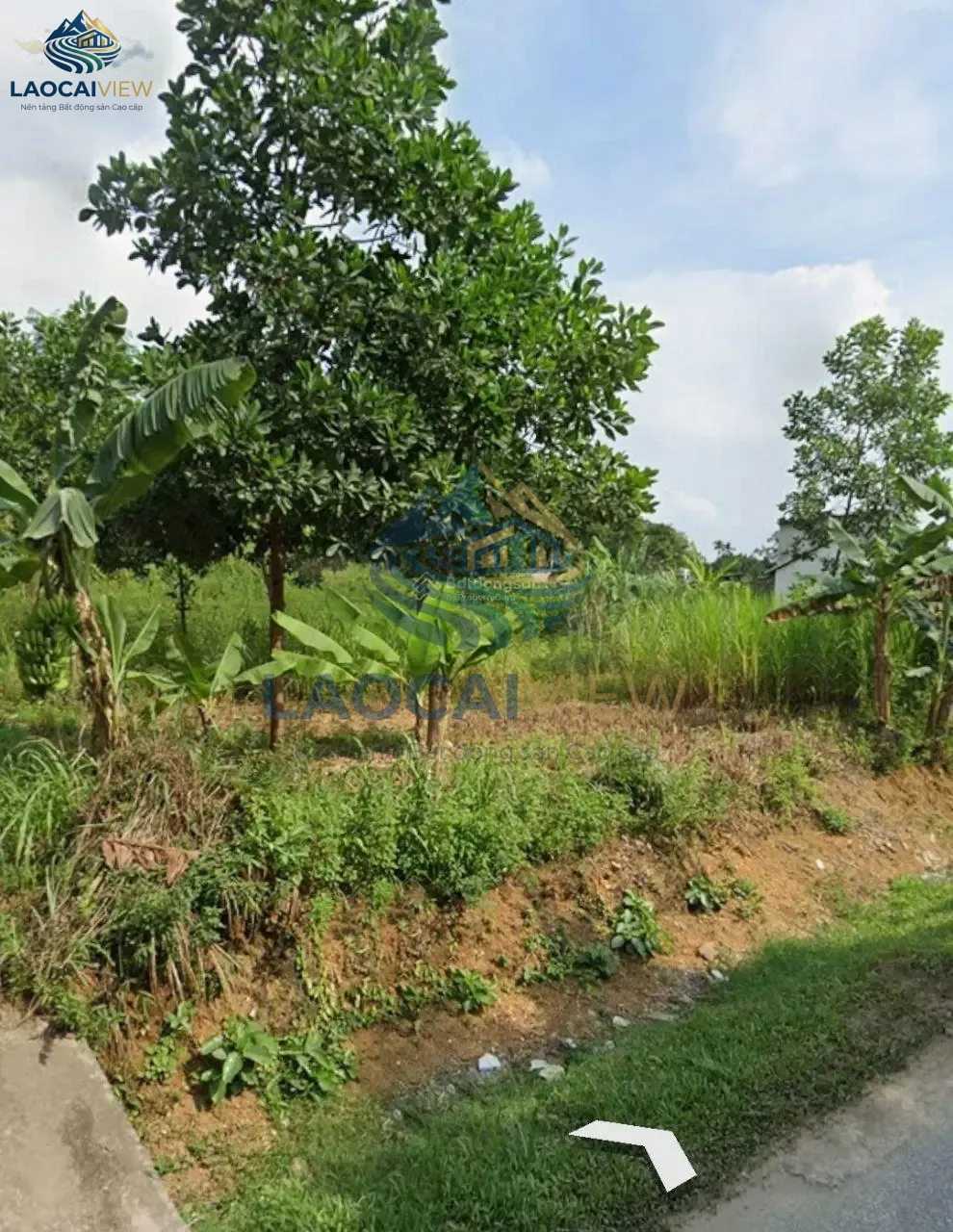 Ảnh 4