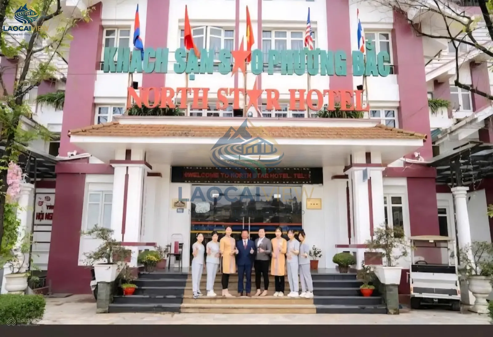 Ảnh 2