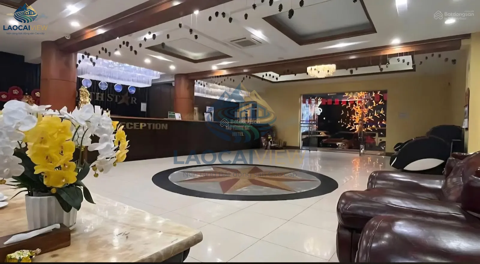 Ảnh 7