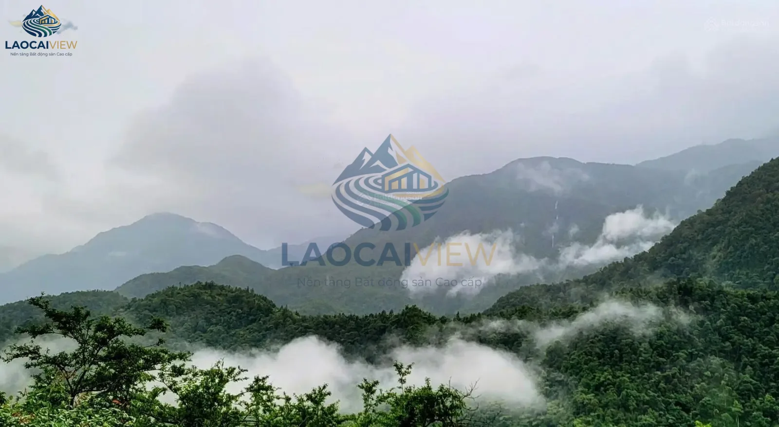 Cơ hội vàng: Đất nền 4ha, mặt tiền 200m, giá 80 tỷ, view Sa Pa – Đầu tư Resort ngay tại Sín Chải