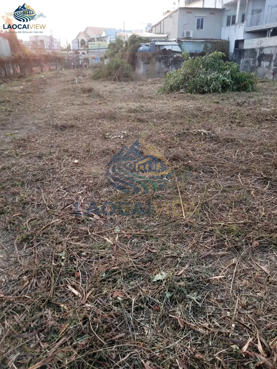 Ảnh 2