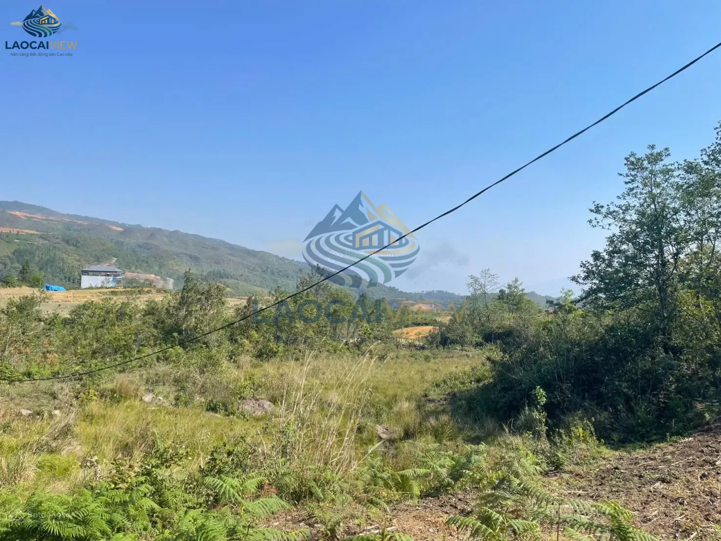 Lô đất hiếm F0 tại Y Tý, Phìn Hồ - 1,1ha, mặt tiền 100m, view hồ 30ha, giá 3,3 tỷ - Cơ hội đầu tư đỉnh cao