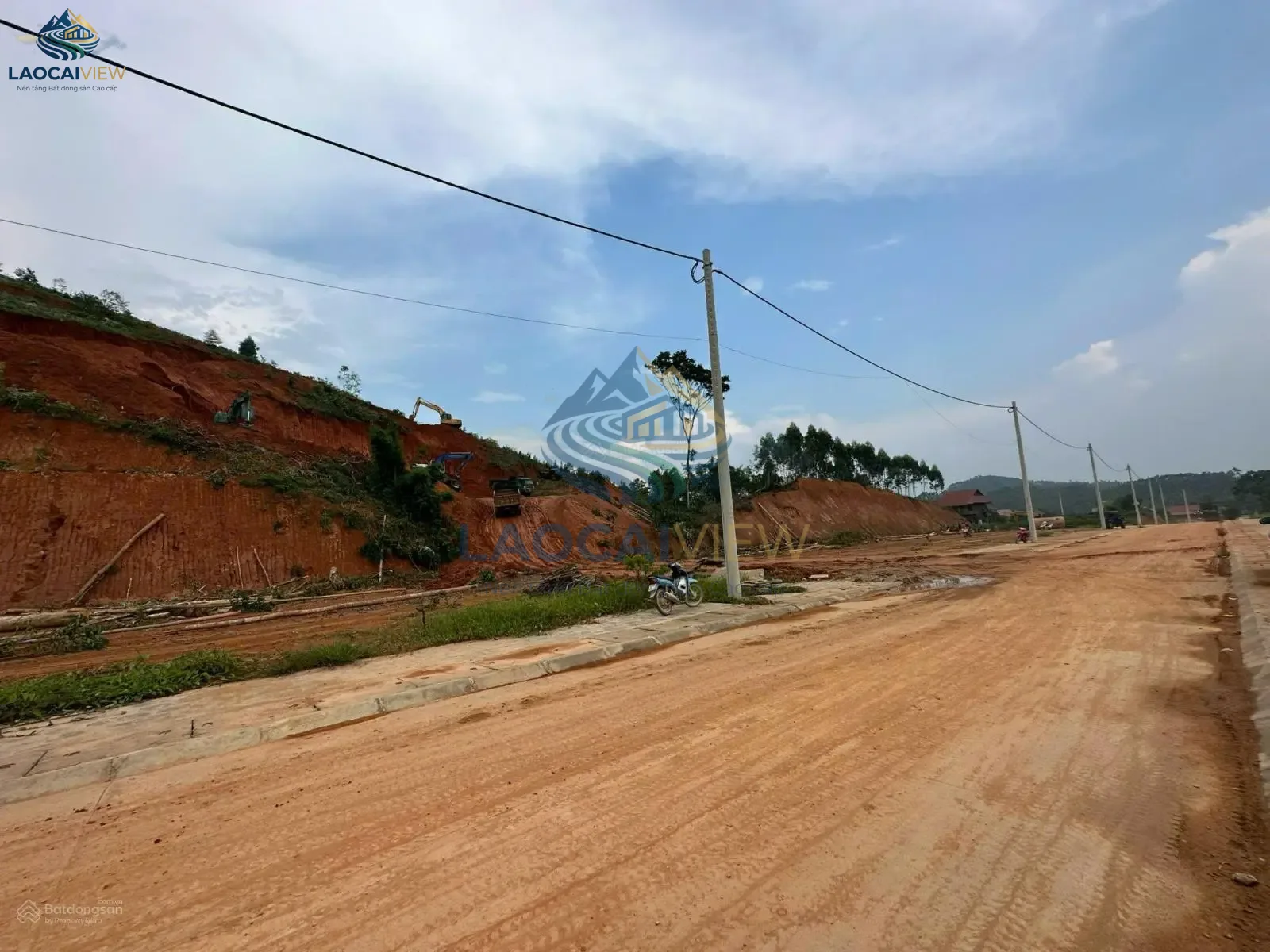 Ảnh 4