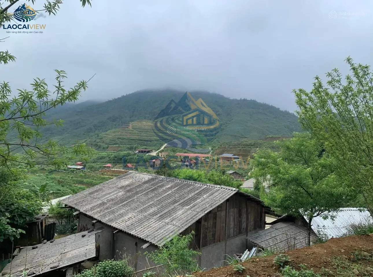 Đất nền 1.600m² tại Khu Cửa Cải, Ngũ Chỉ Sơn, Sapa – View rộng, giá 680 triệu – Đầu tư nghỉ dưỡng