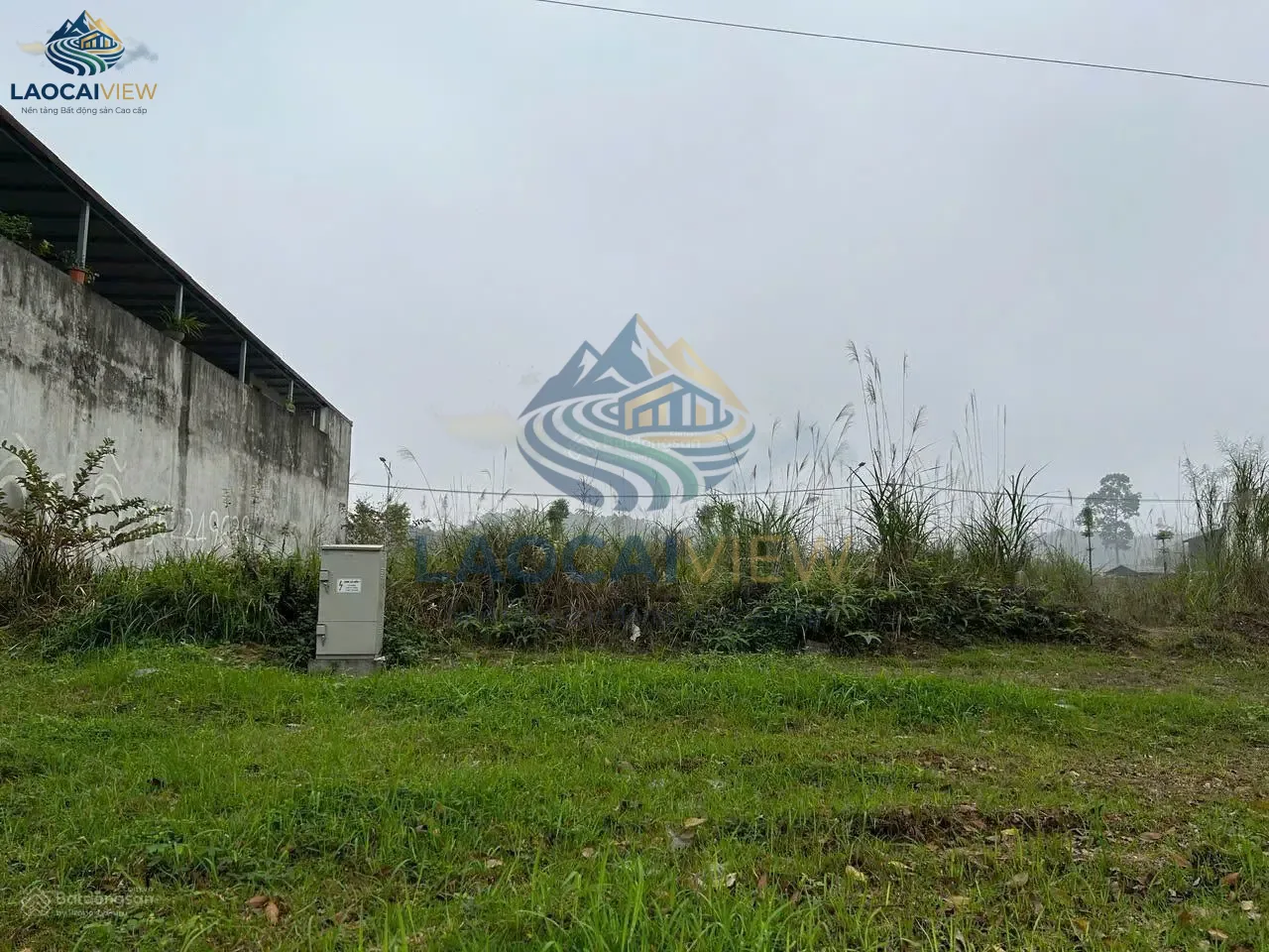 Ảnh 3