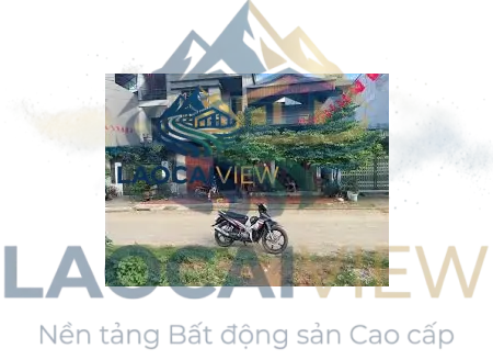 Ảnh 3