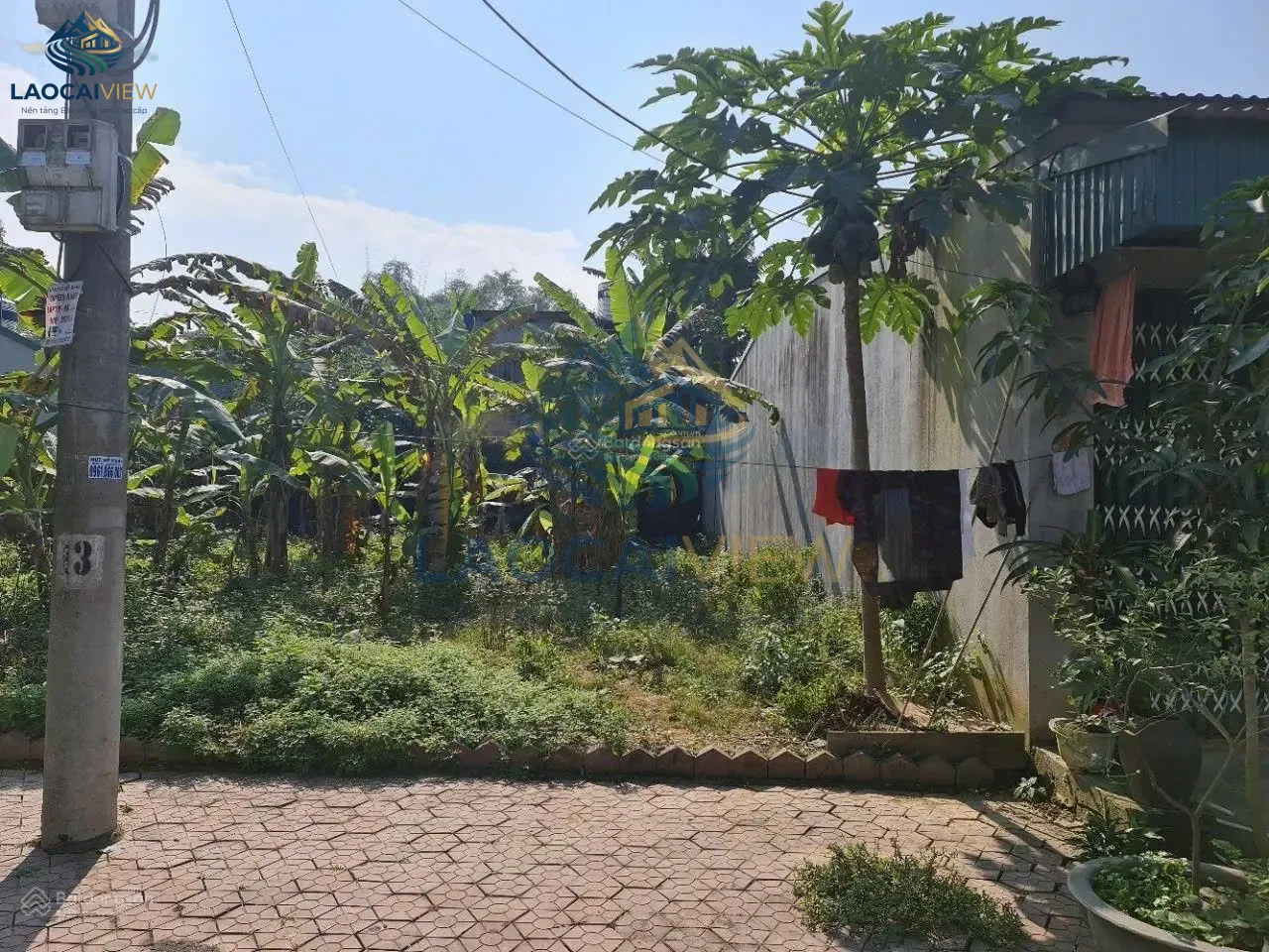 Ảnh 2