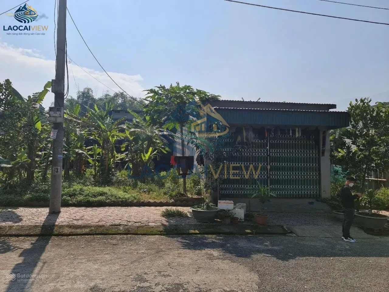 Ảnh 9