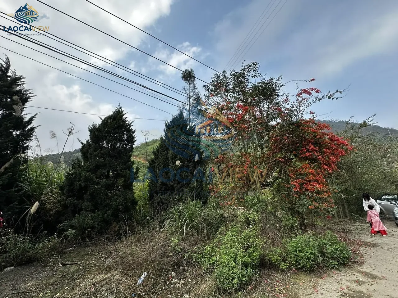 Đất Nông Trại 14ha, Mặt Tiền 300m, Giá 5,3 Tỷ - Thôn Bông 3, Bảo Hà, Lào Cai - Đường 15m, Hướng Đông, Sổ Đỏ