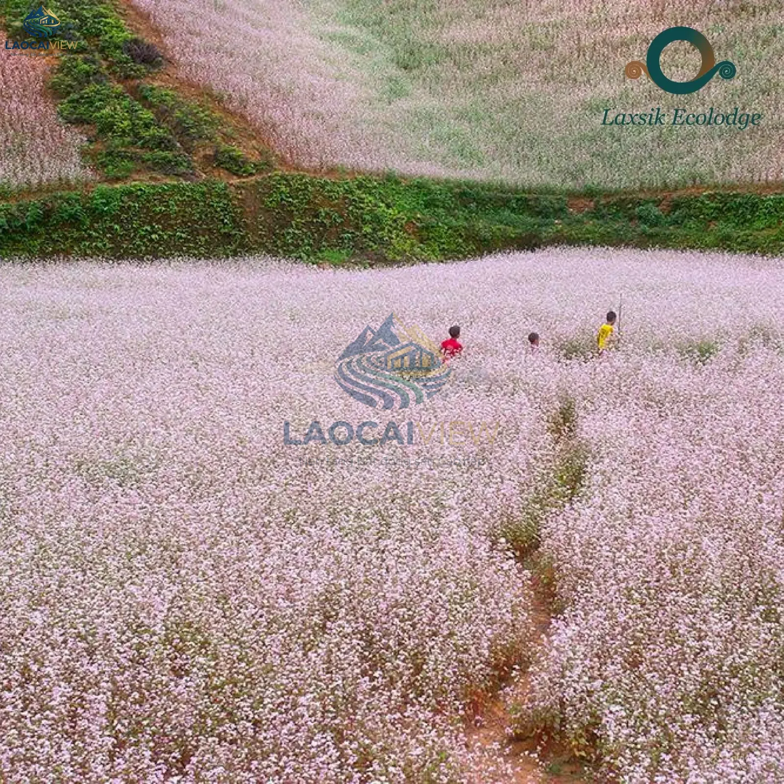 Ảnh 3