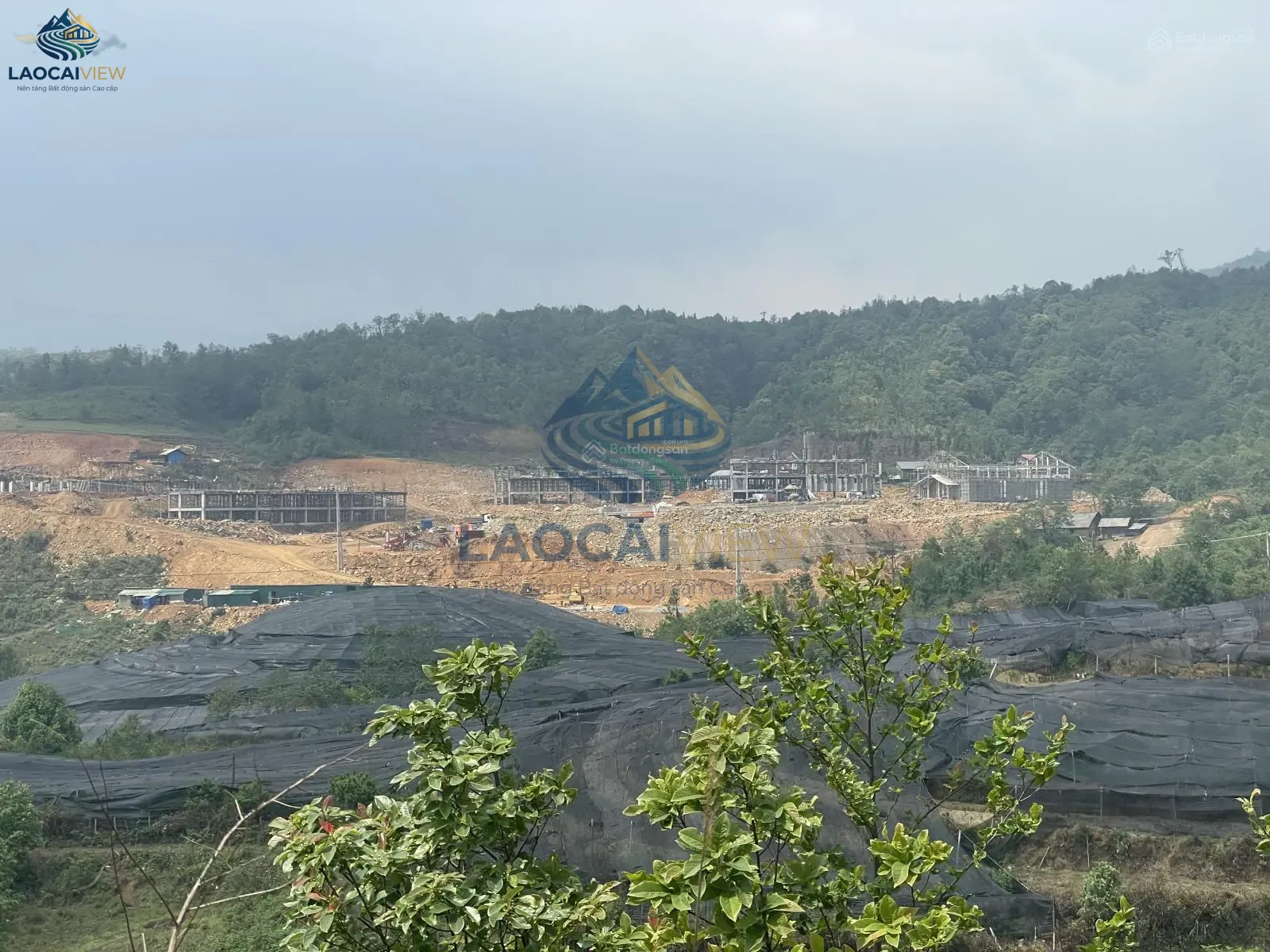 Ảnh 2