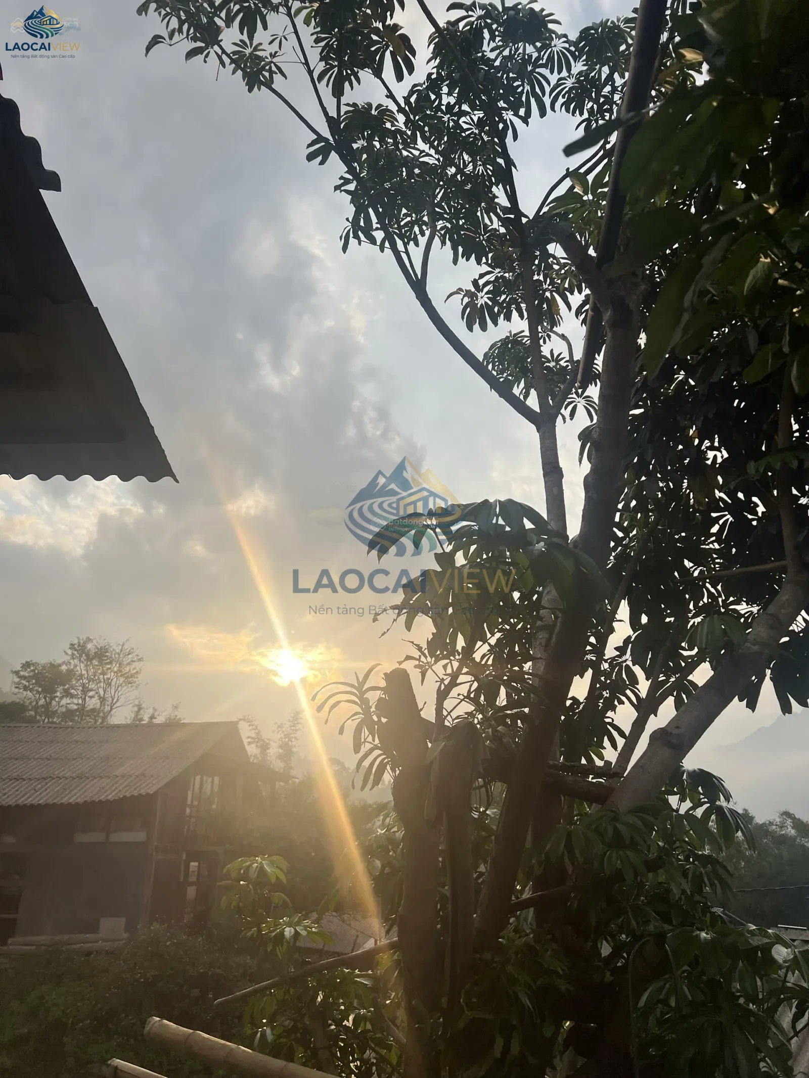 Ảnh 2
