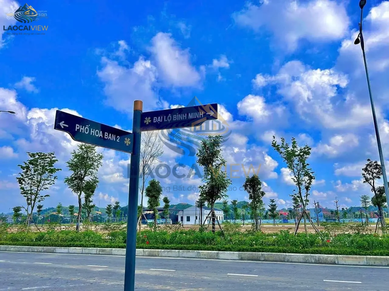 Ảnh 8