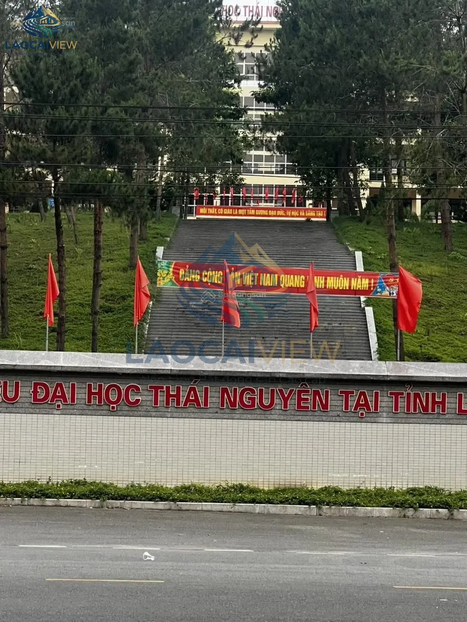 Ảnh 5
