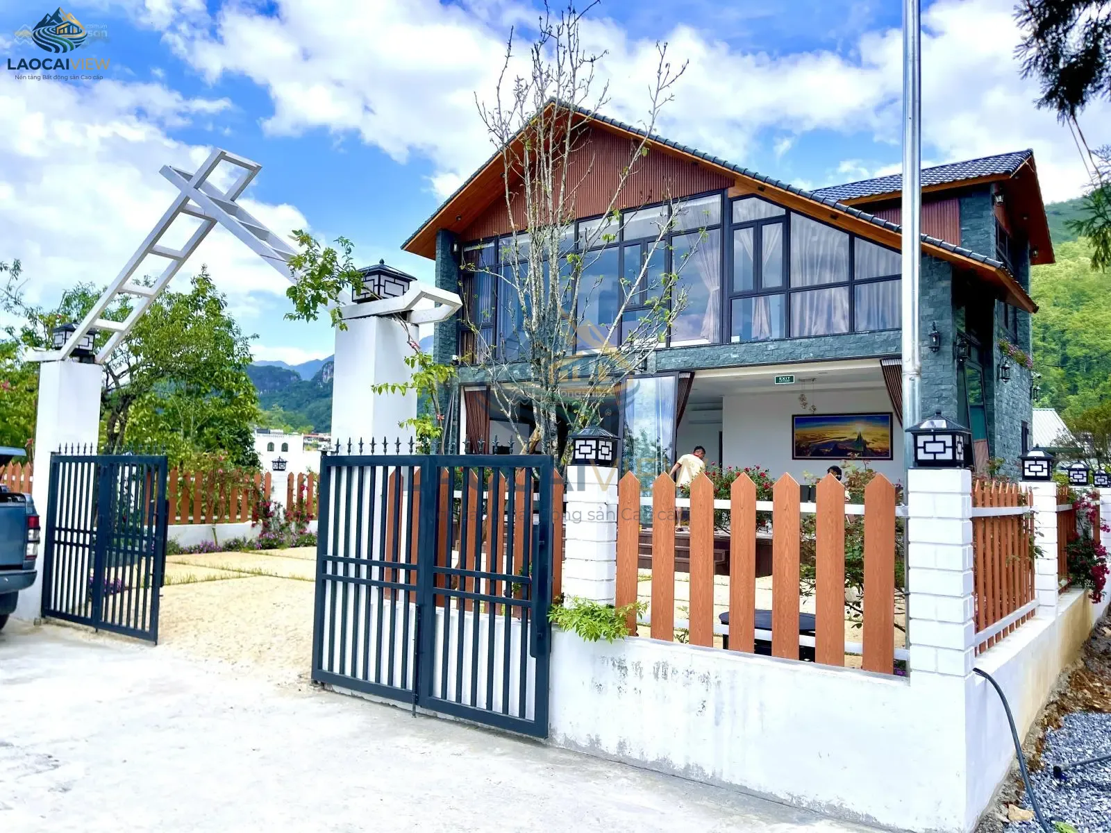 Ảnh 5