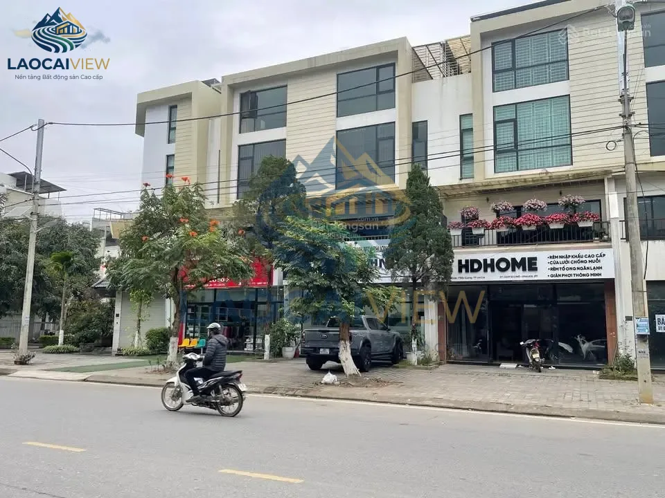 Ảnh 3