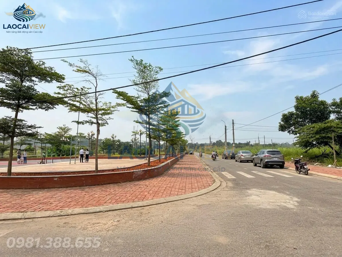 Ảnh 6