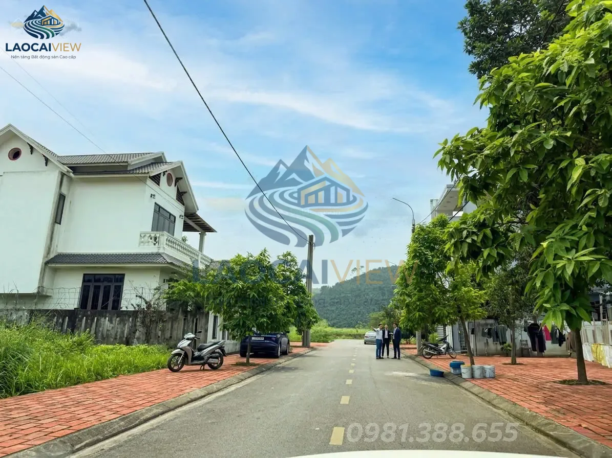 Ảnh 7