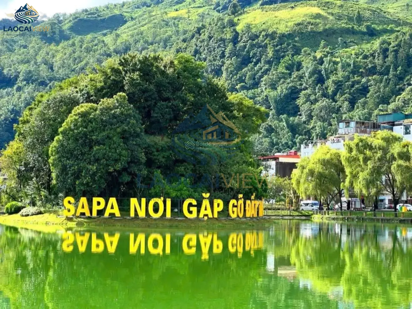 Ảnh 3
