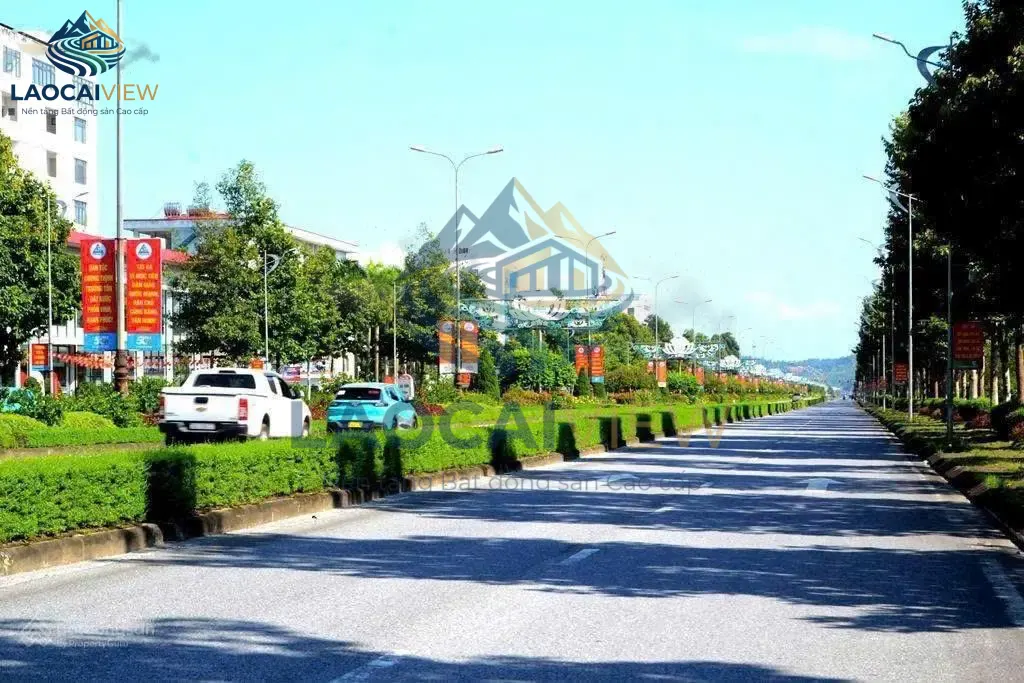 Ảnh 5
