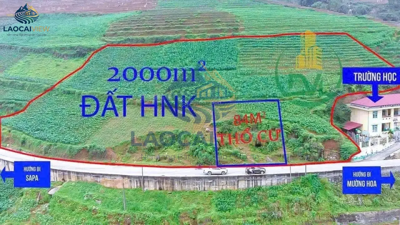 Hình ảnh bất động sản liên quan: Quỹ đất Tả Van, Sa Pa – View núi rừng tuyệt đẹp, diện tích 2.000 m², giá 7,9 tỷ – Cơ hội đầu tư nghỉ dưỡng