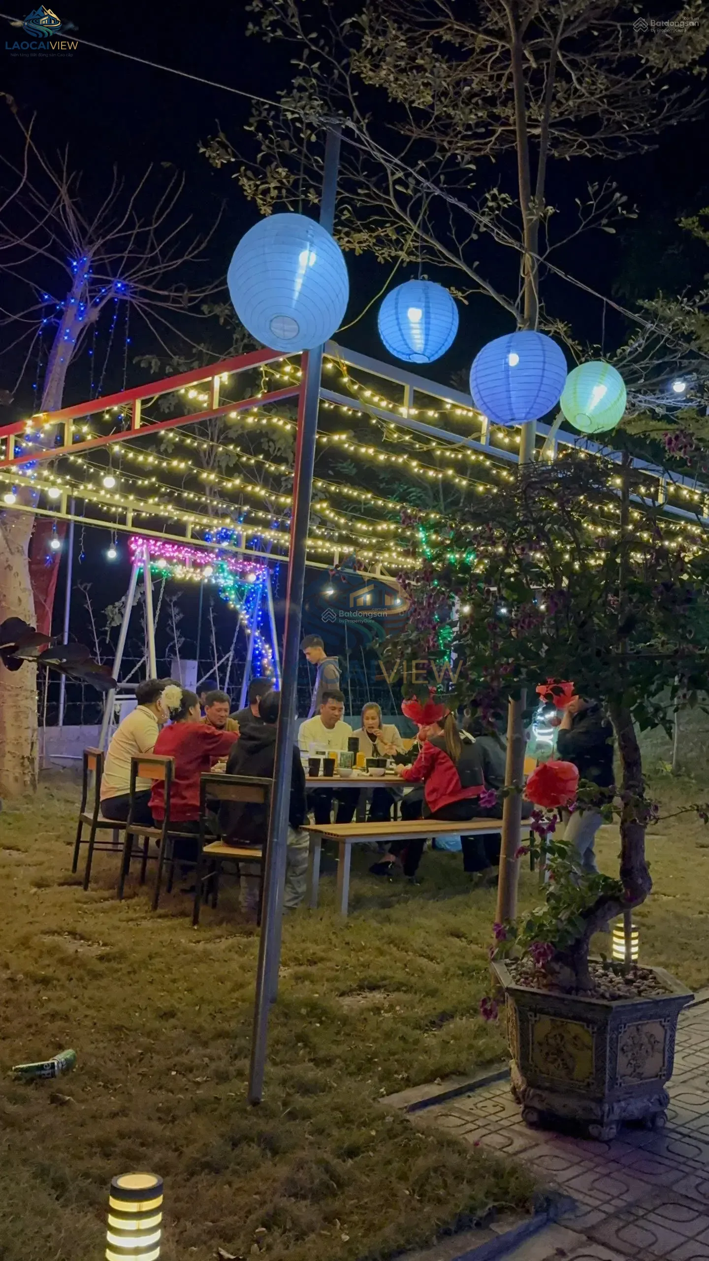 Ảnh 7