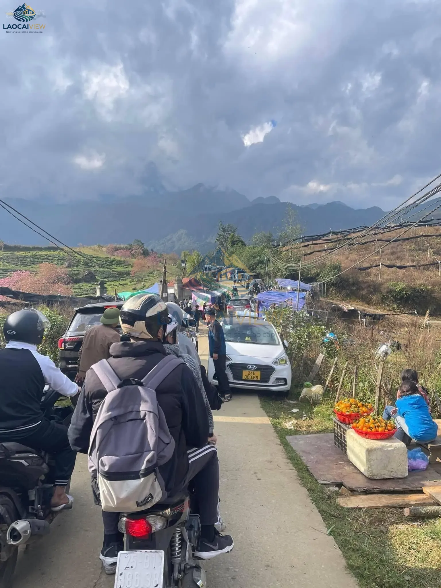 Đất nền 30.000m² mặt tiền 300m ngay cạnh KĐT Ecopark Sa Pa - Cơ hội đầu tư cafe, glamping, vườn hoa