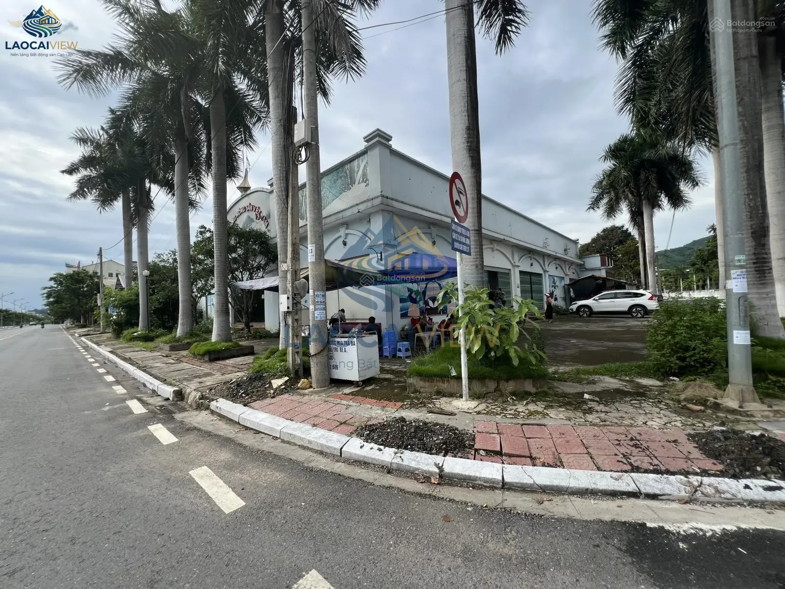 Ảnh 5