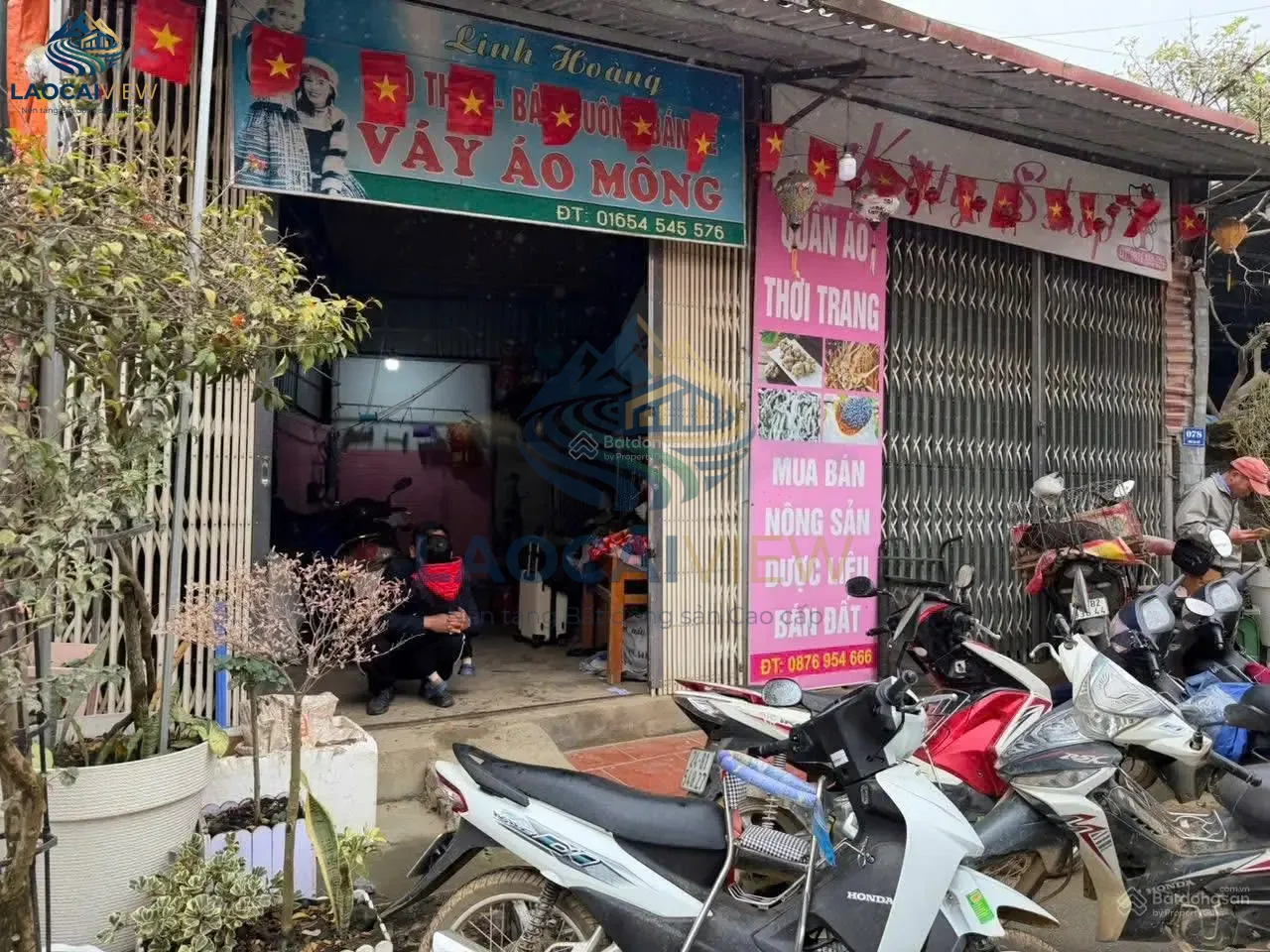 Ảnh 2