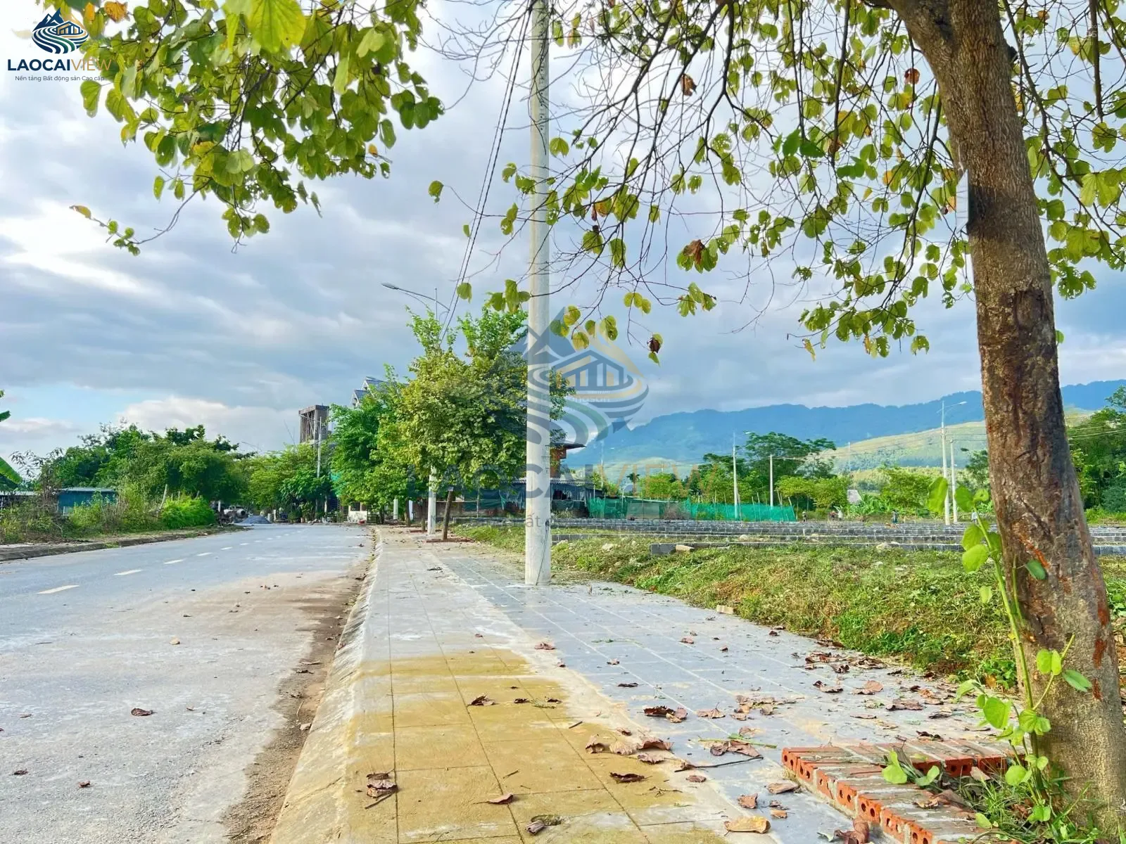 Ảnh 2