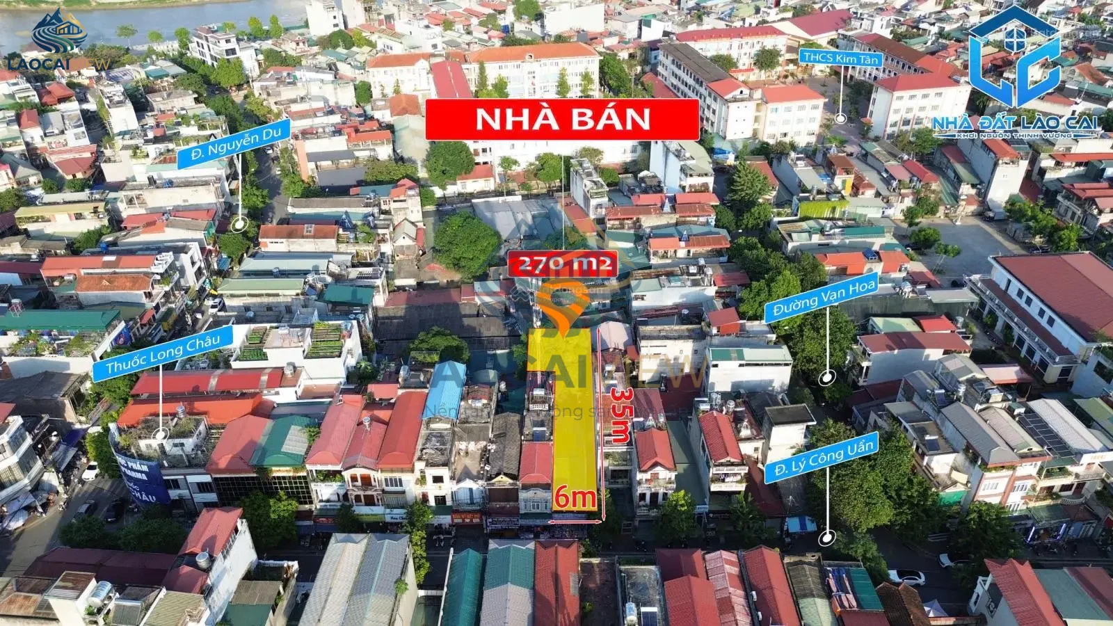 Ảnh 3