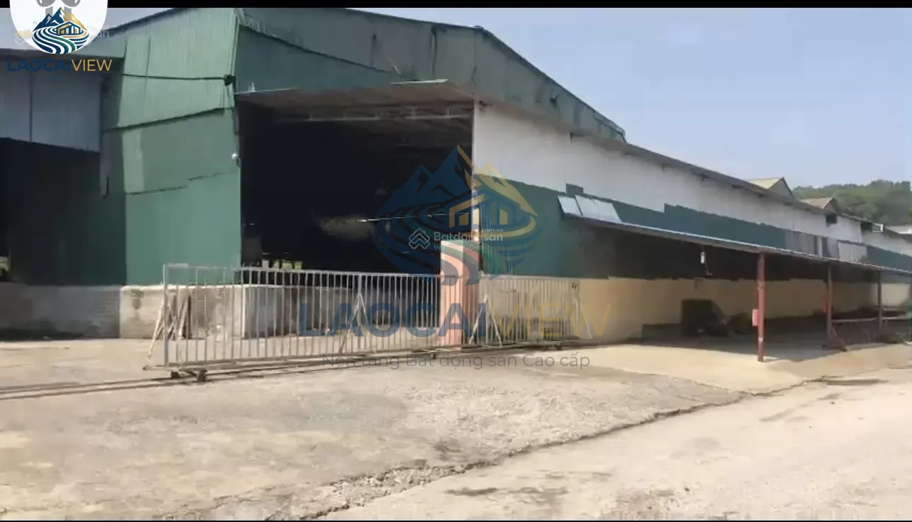 Hình ảnh bất động sản liên quan: Kho xưởng gỗ 12.000 m², mặt tiền 1.000m, giá 30 tỷ - Sổ đỏ chính chủ, vị trí trung tâm Lào Cai