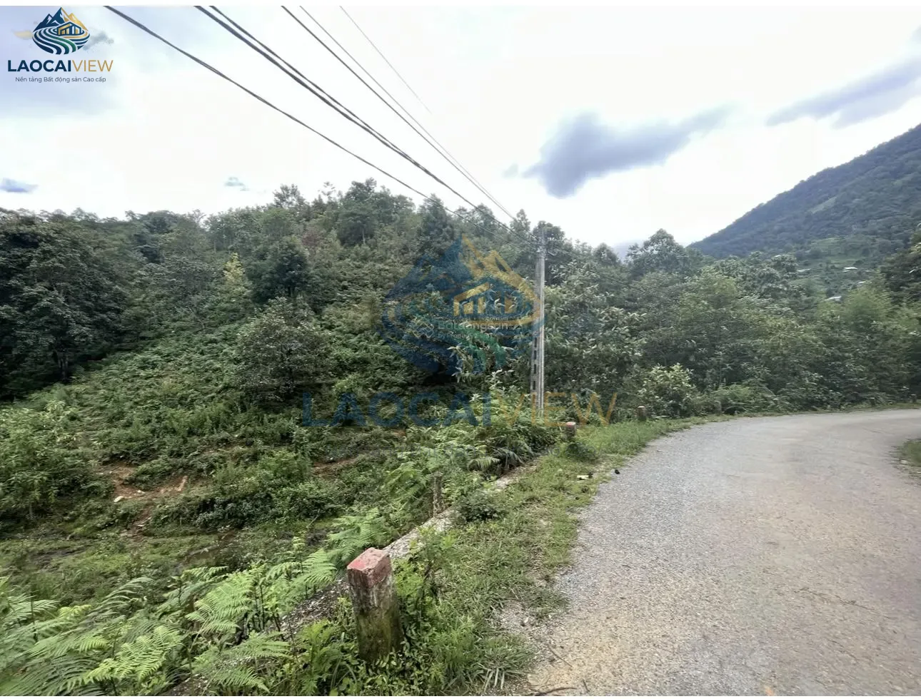 Đất nền Y Tý, Lào Cai 9.800m² – Mặt tiền 60m, View đẹp, Giá thỏa thuận – Cơ hội đầu tư tiềm năng phát triển