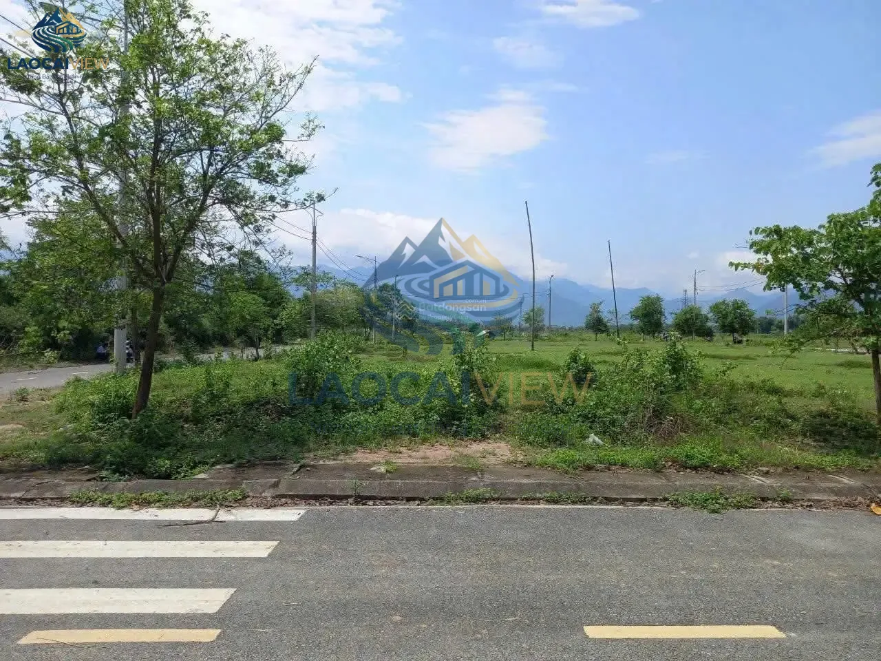 Ảnh 3