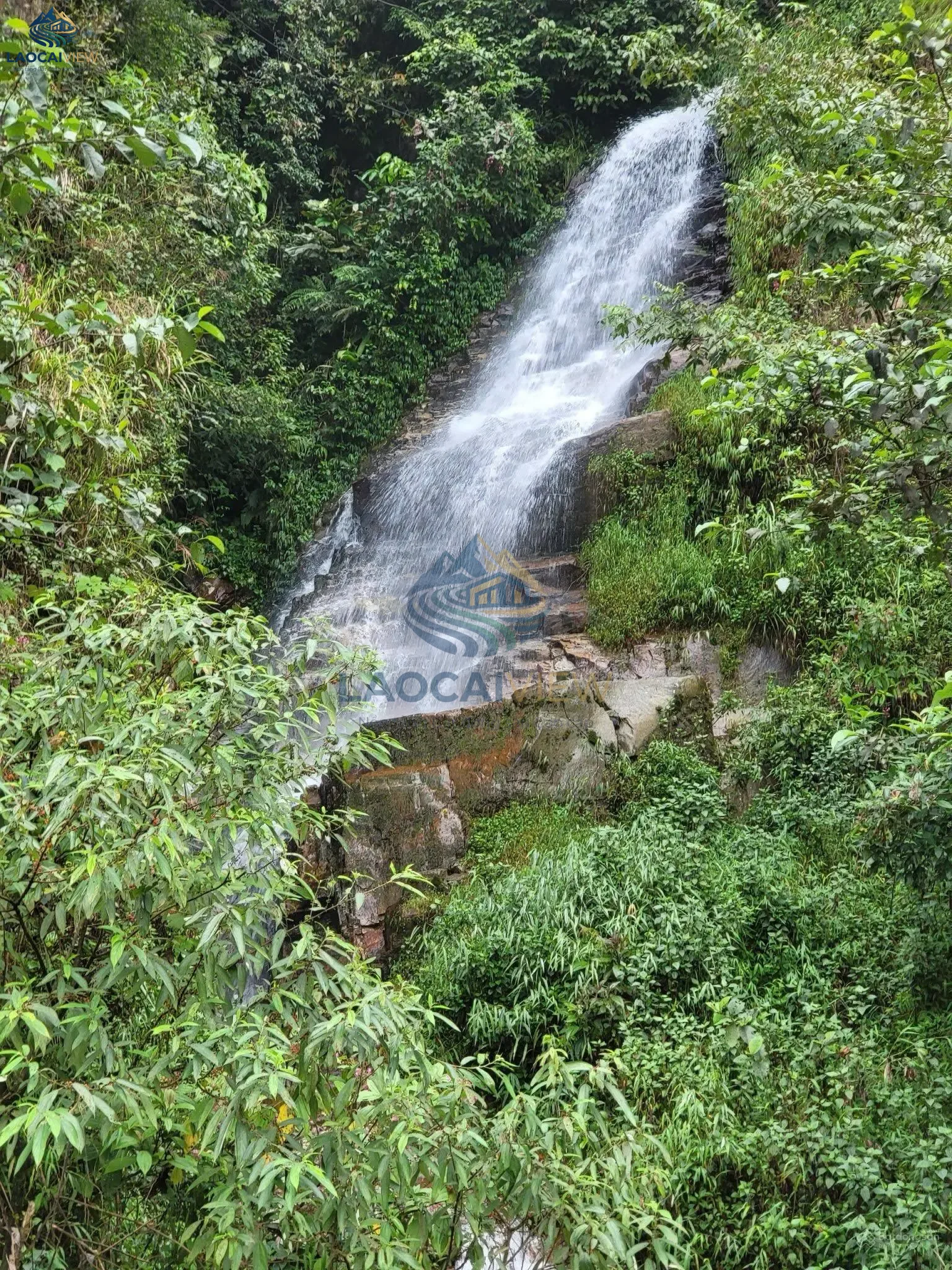 Ảnh 4