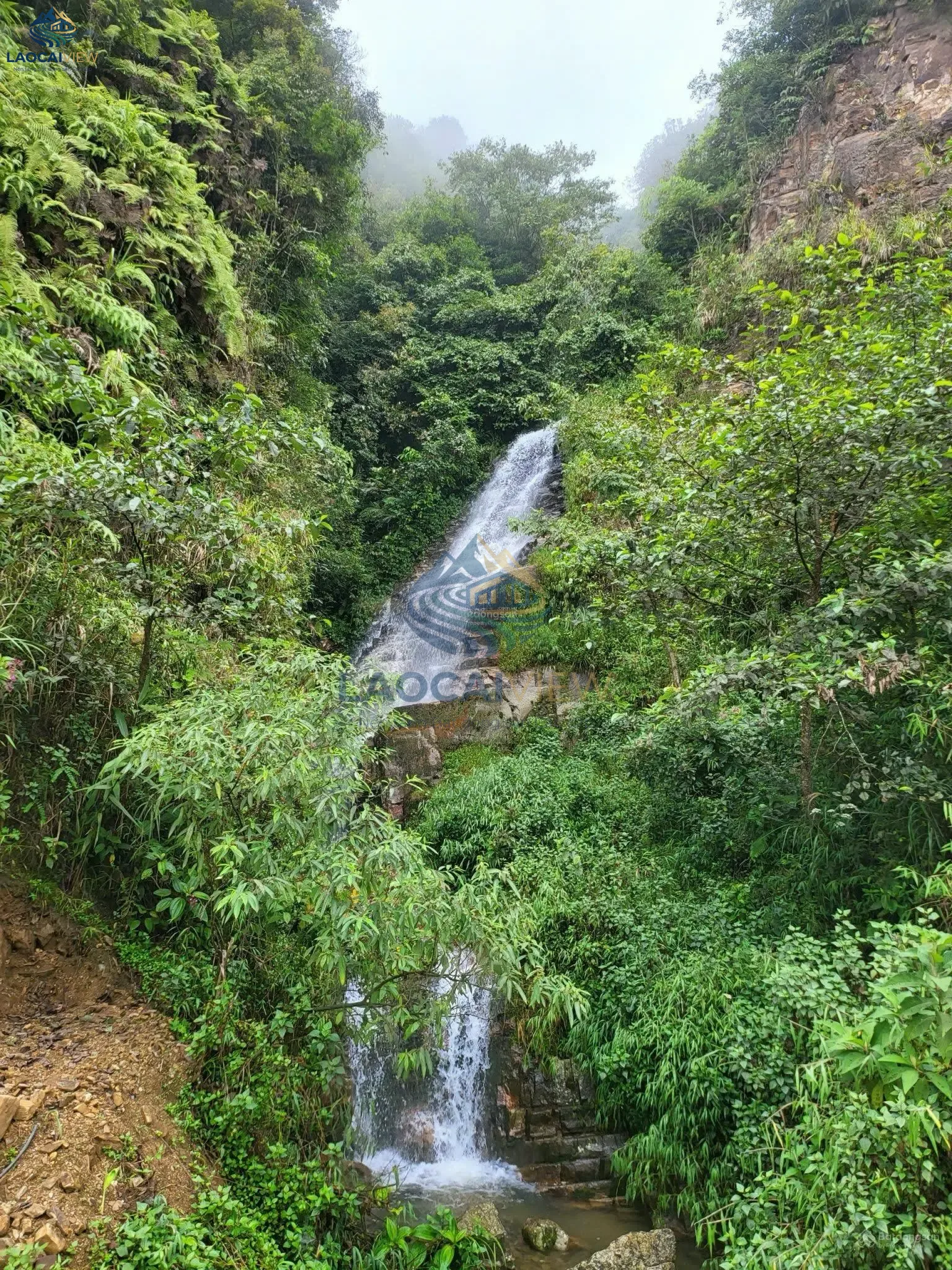 Ảnh 5