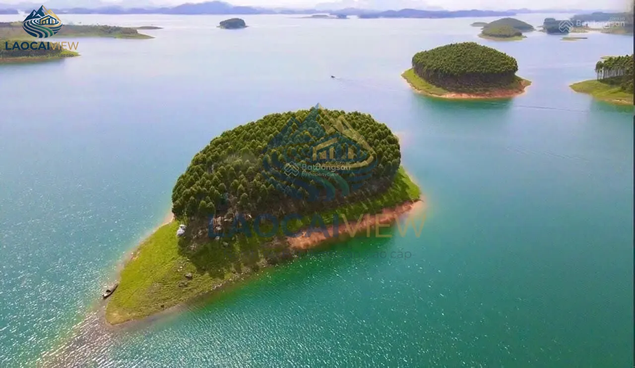 Đảo hồ Thác Bà - Bán nhanh 12.000m², Giá 3,8 tỷ, Vị trí đắc địa gần dự án Sungroup & Intercontinental