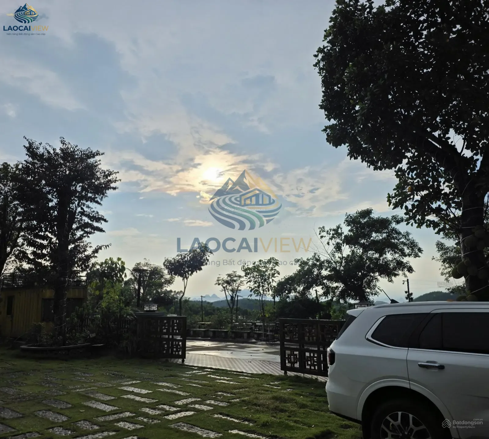 Ảnh 4