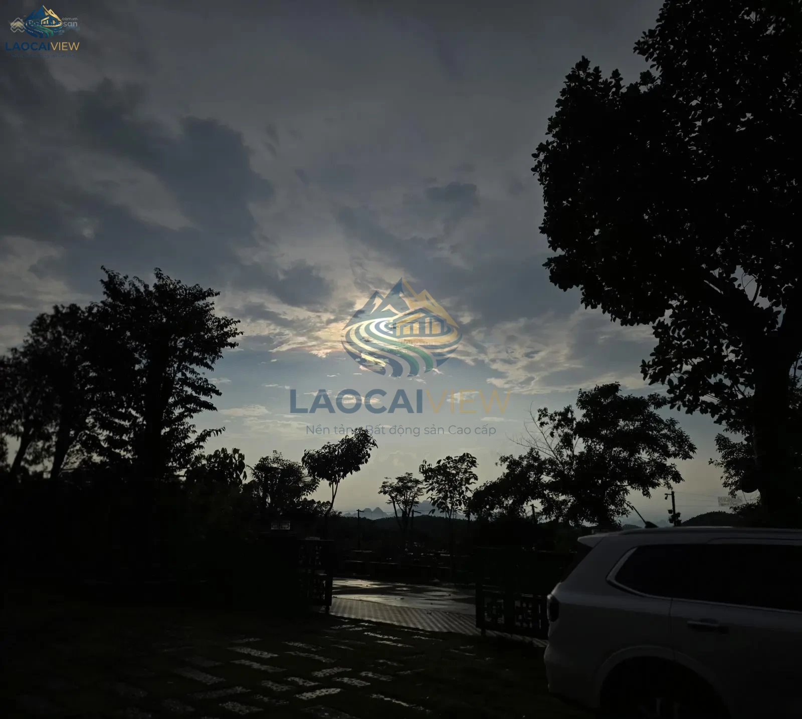 Ảnh 3