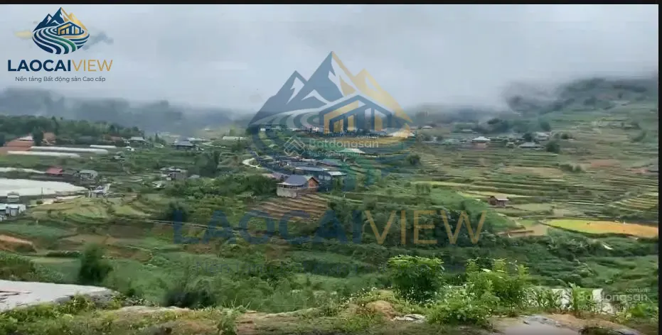 Ảnh 7