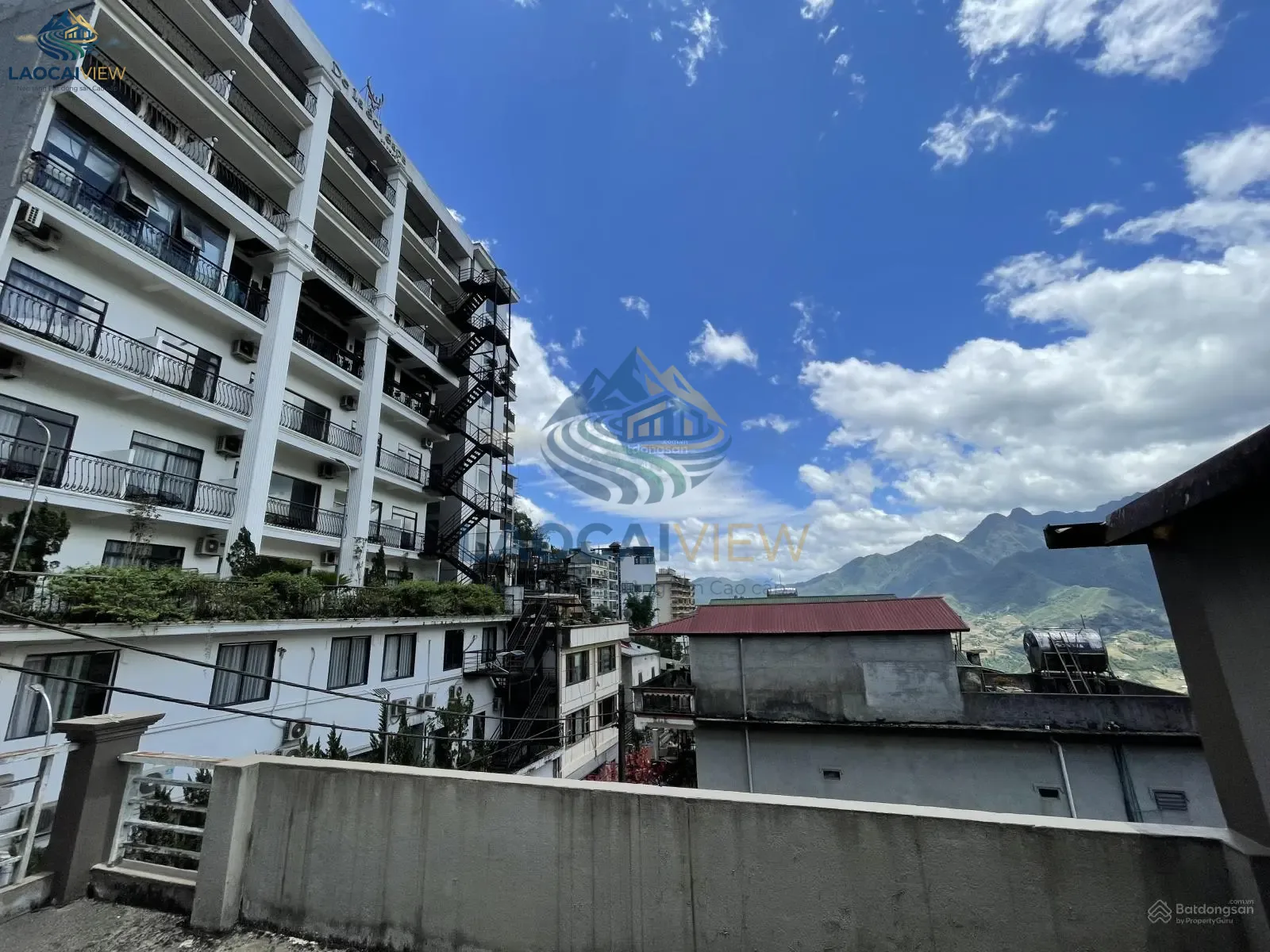 Ảnh 5