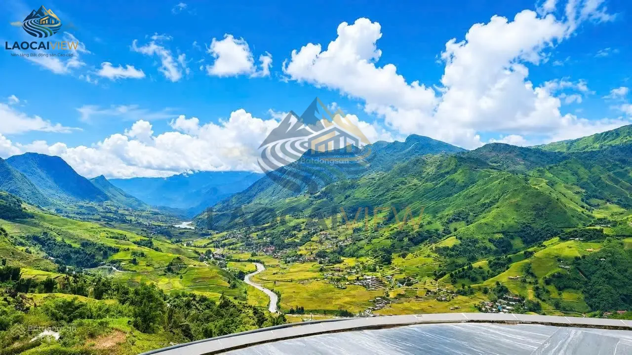 Ảnh 2