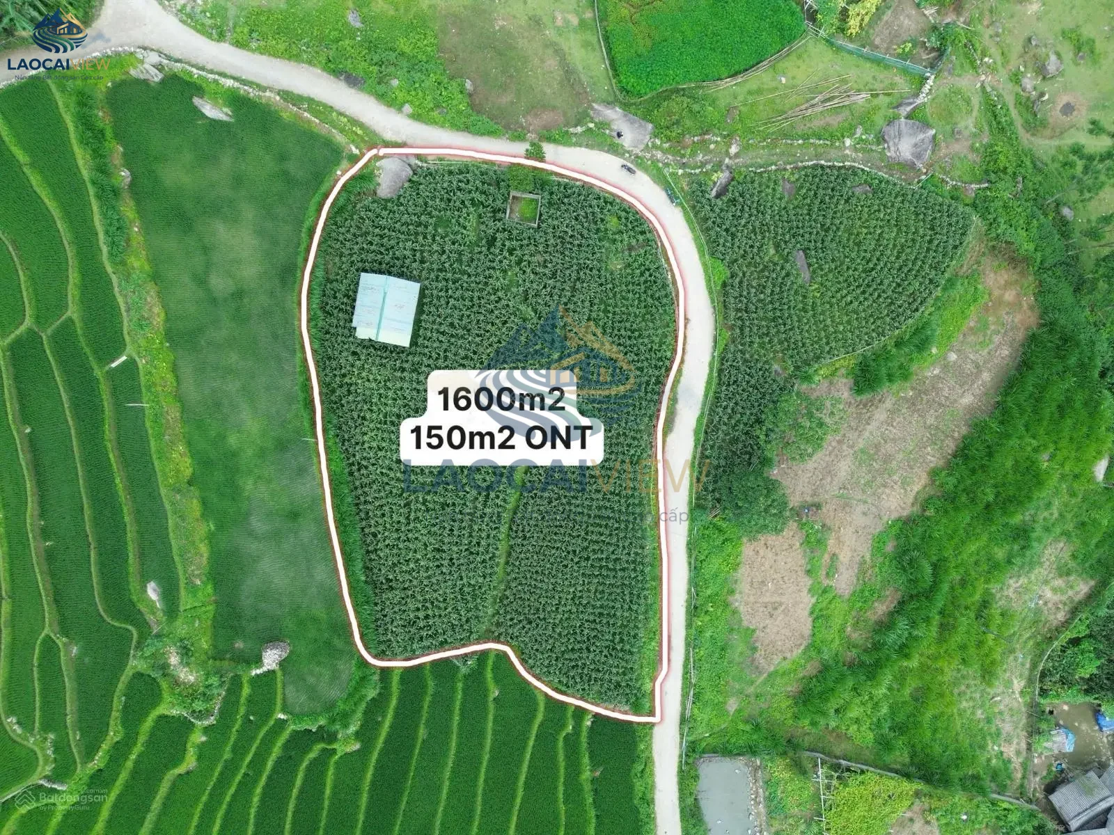 Hình ảnh bất động sản liên quan: Đất Tả Van 1.600m² View Mường Hoa - Giá 7.5 tỷ - Đầu tư nghỉ dưỡng cao cấp tại Sa Pa Lào Cai