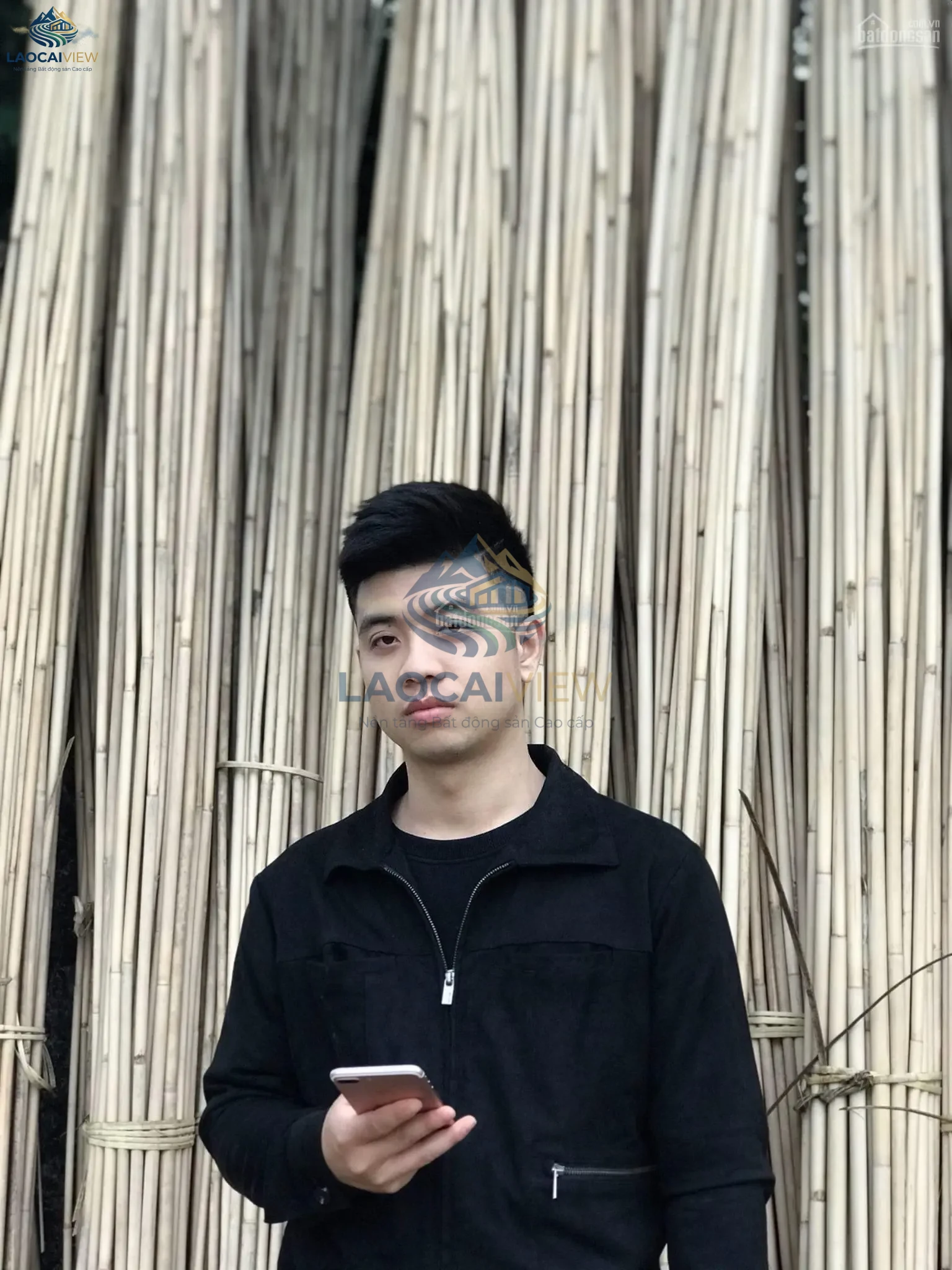 Ảnh 6