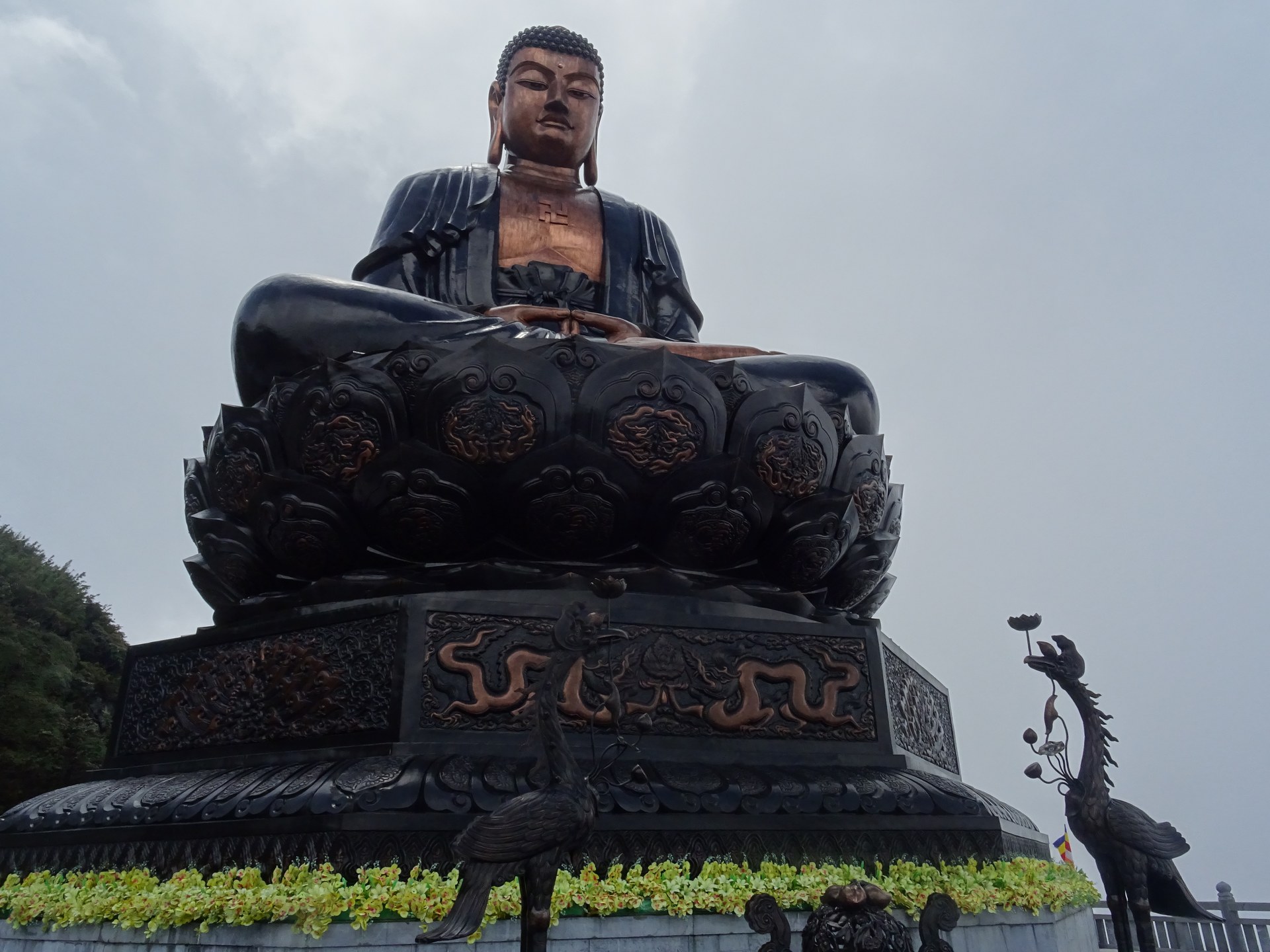 Hành Trình 3 Ngày 2 Đêm Săn Biển Mây Sa Pa Từ Hà Nội: Top 7 Tọa Độ Check-in Triệu View Đỉnh Chóp 2026