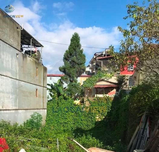 Hình ảnh bất động sản liên quan: Bán Mảnh Đất Trung Tâm Phường Sa Pa – 200m² Full ODT, Mặt Tiền 10m Bằng Phẳng, Rất Phù Hợp Xây Khách Sạn Nghỉ Dưỡng